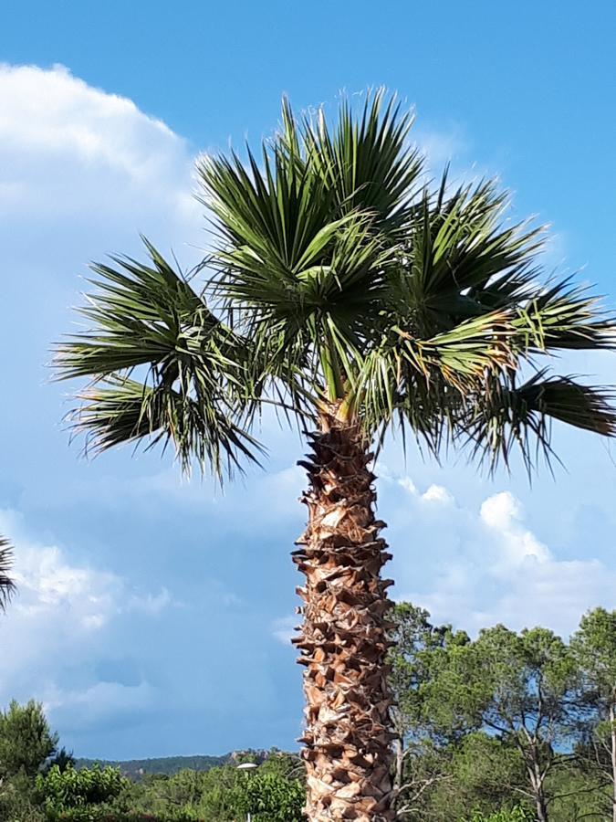 Les Parasols D'Argens Roquebrune-sur-Argens Eksteriør bilde